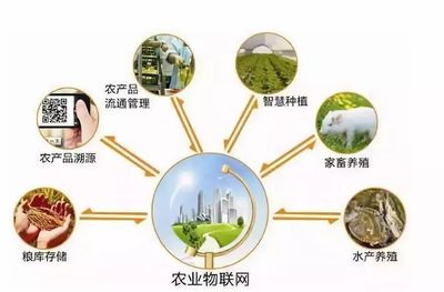 乡村规划设计丨中国农业十大战略布局 风口、独角兽与投资热点深度解析